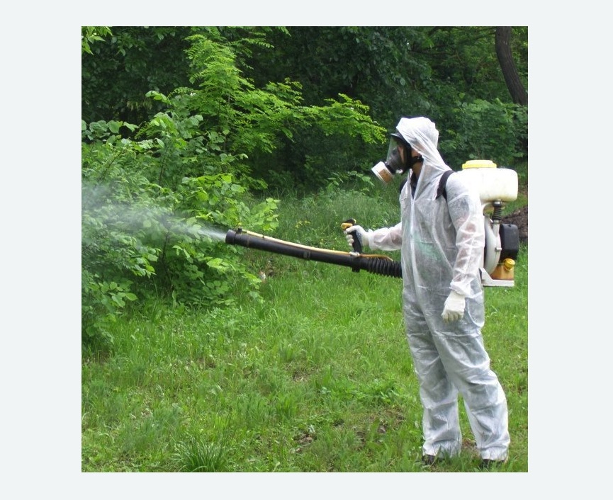 обработка территории от клещей в Пикалево