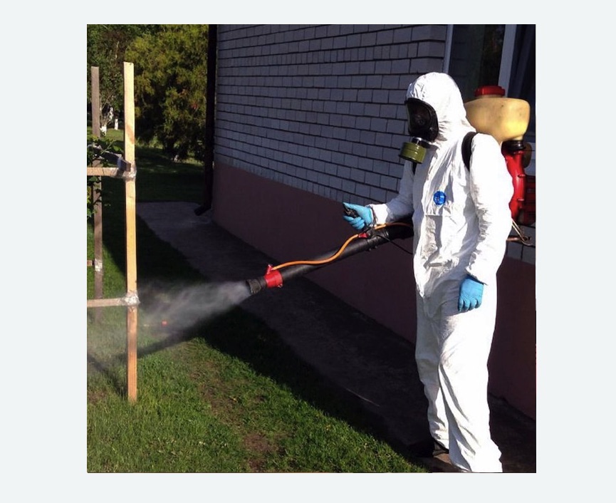 травля клещей на участке в Пикалево