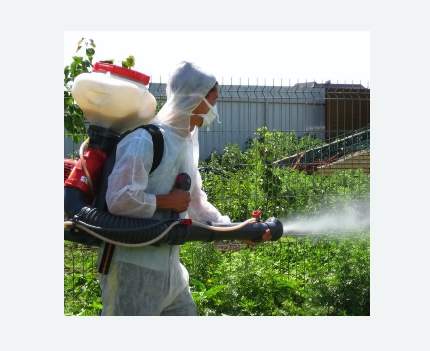 Акарицидная обработка территории в Пикалево