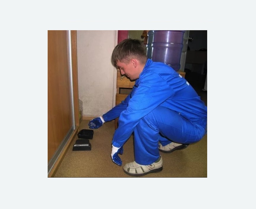 Дератизация крыс в Пикалево