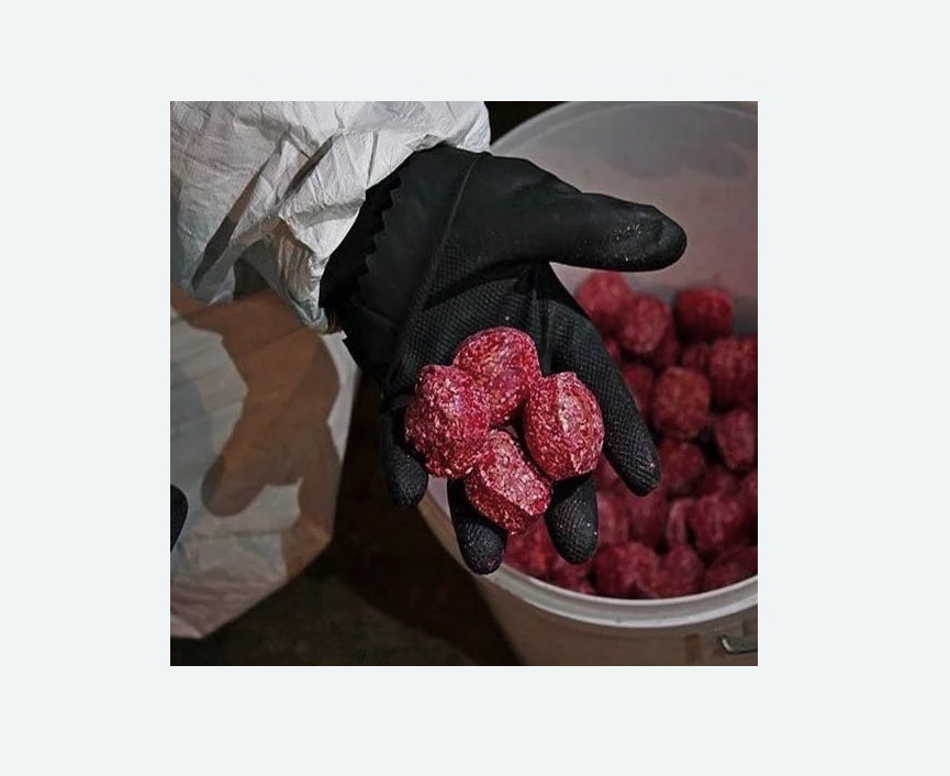 Обработка от крыс в Пикалево