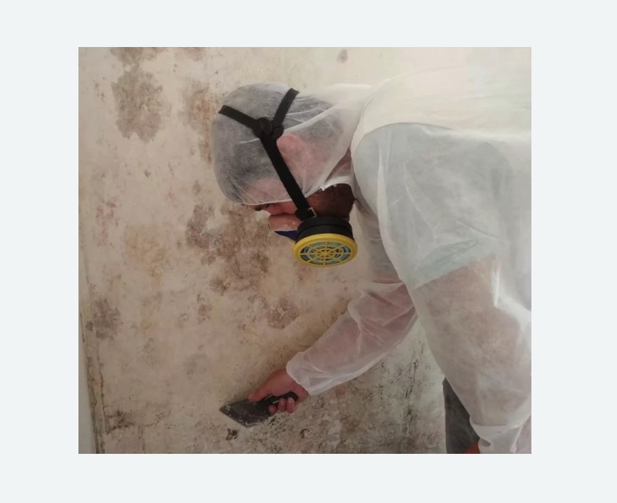 Обработка стен от плесени в Пикалево