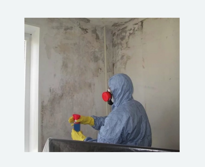 Удаление плесени в квартире в Пикалево