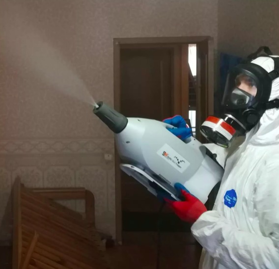дезинсекция помещения в Пикалево