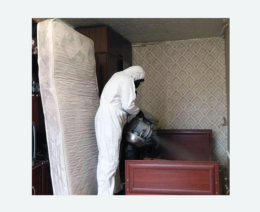 дезинфекция от клопов в Пикалево