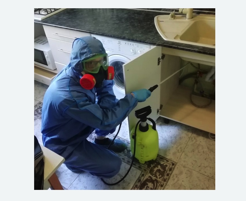 обработка от муравьев в квартире в Пикалево