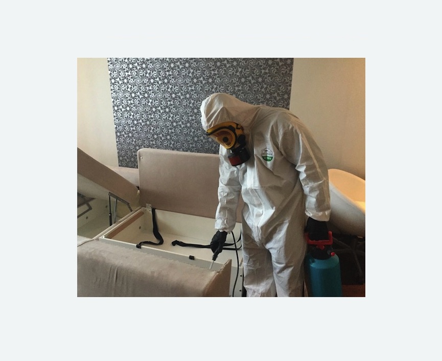 уничтожение клопов в квартире в Пикалево