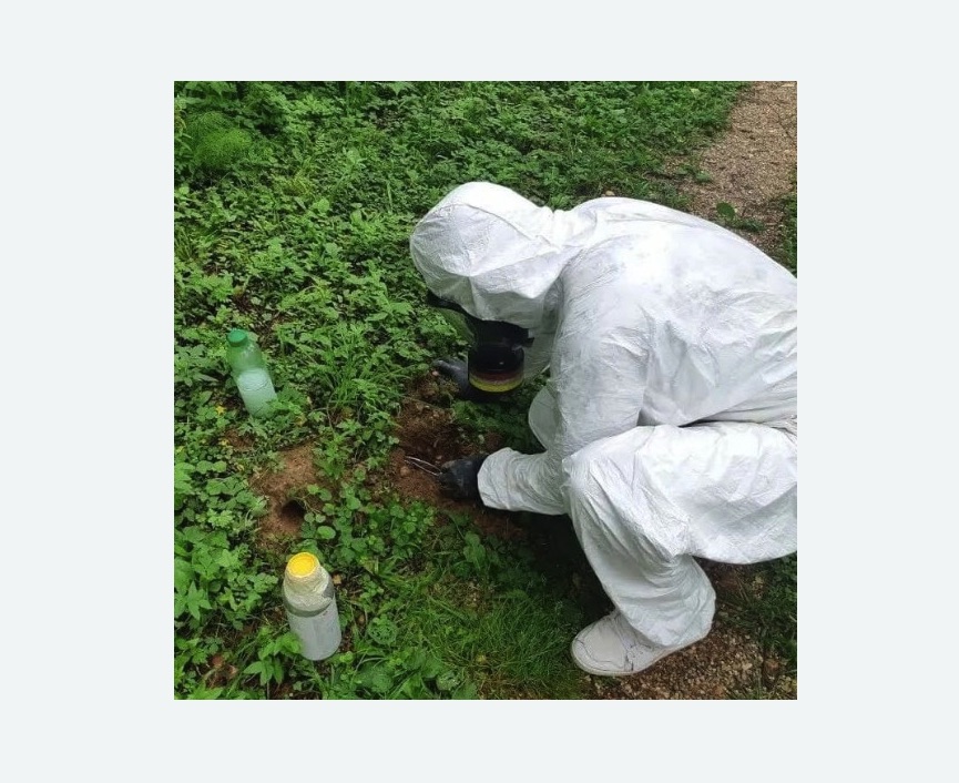 уничтожение кротов на участке в Пикалево