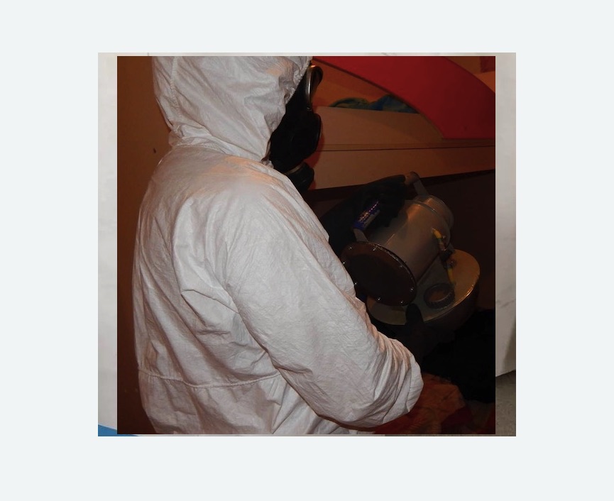 Дезинфекция от муравьев в Пикалево