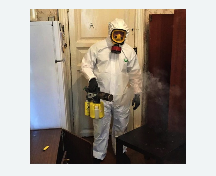 уничтожение муравьев в квартире в Пикалево